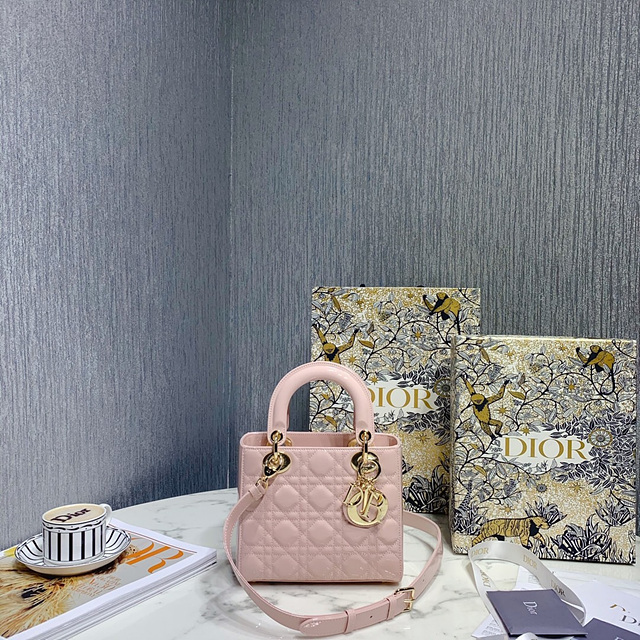 디올 레이디백 스몰